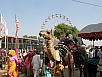 Exhibition Ground - Camel Fair Pushkar