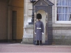 Royal Gaurd at Buckingham Palace