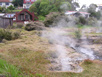 Rotorua Geysers