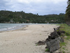 Whitianga Beach