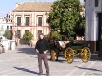 Sevilla - Horse Carriage