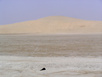 Wüste bei Umm Said