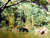 Mahaweli Ganga: Längster Fluss in Sri Lanka - 332 km