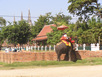 Elephant Ride - Wat Phra Si Sanphet