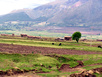 Heilige Tal der Inka (Ruinen und Markt on Pisac und Chincero und Ollantaytambo)