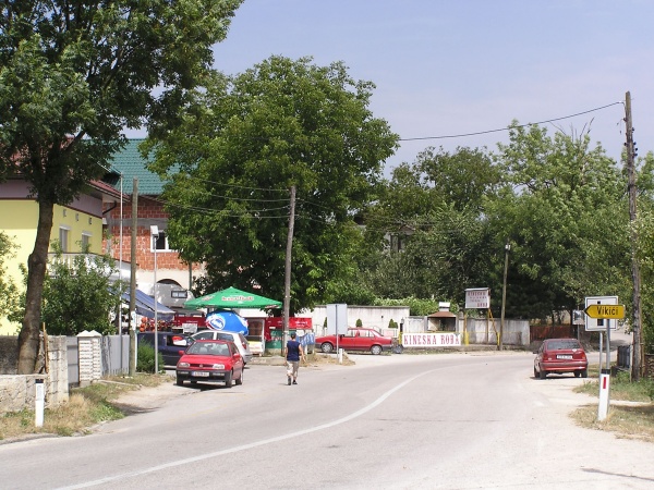 P1010029.jpg