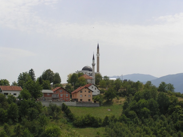 P1010034.jpg