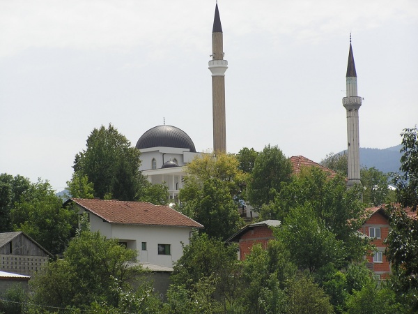 P1010036.jpg