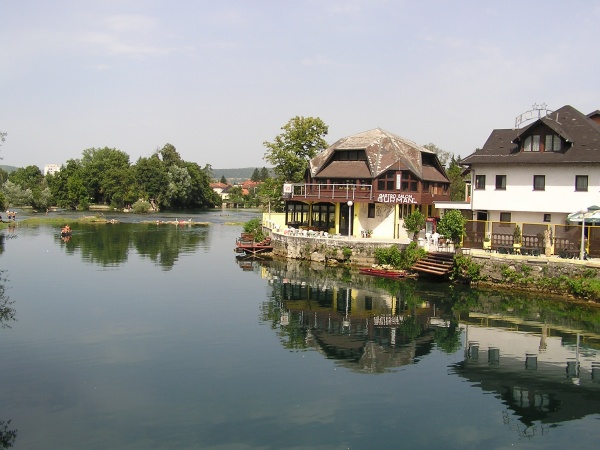 P1010053.jpg