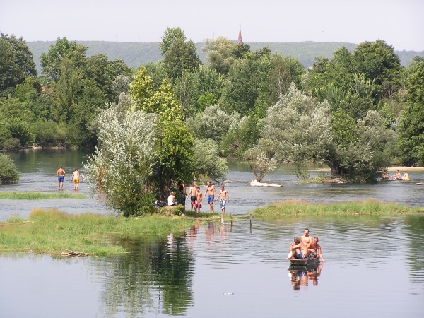 P1010054.jpg