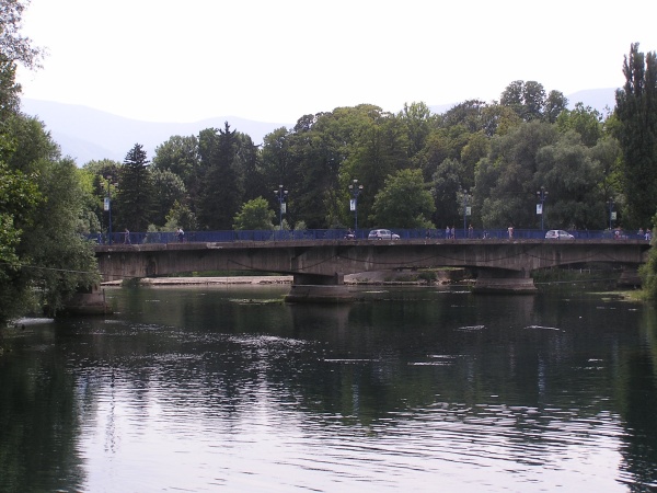 P1010055.jpg