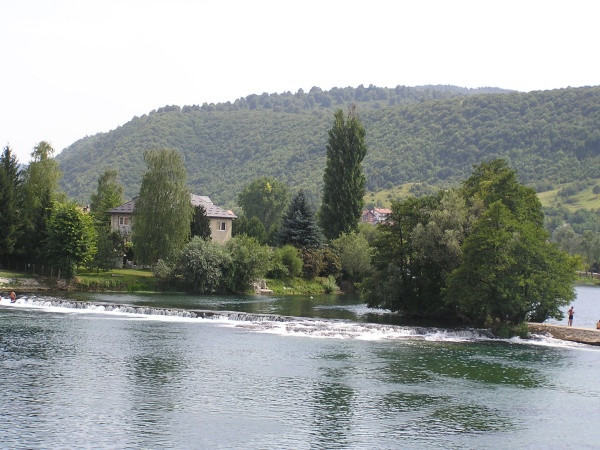 P1010060.jpg