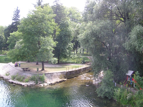 P1010063.jpg