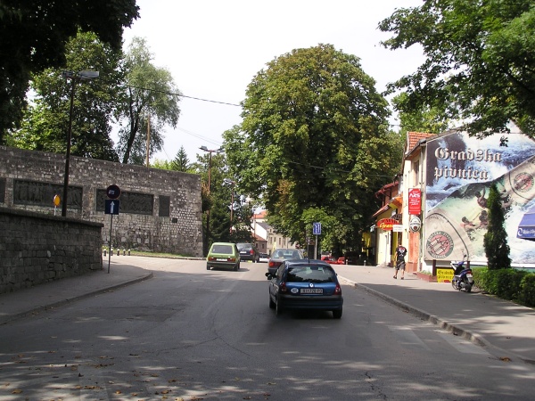 P1010065.jpg