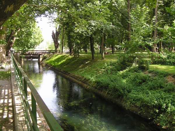 P1010066.jpg