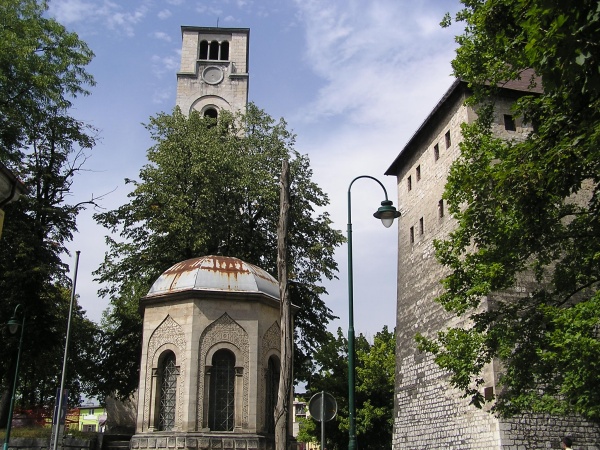P1010067.jpg