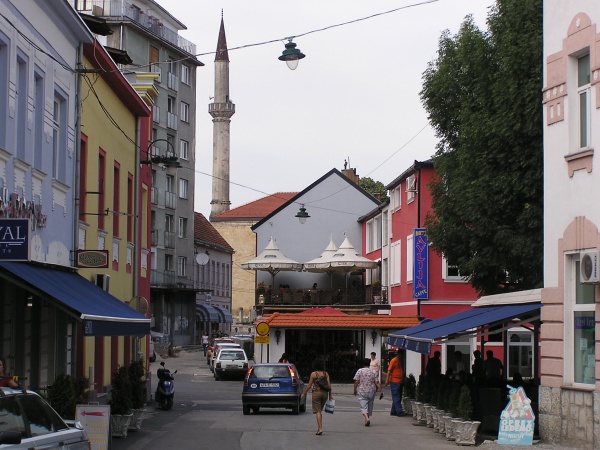 P1010070.jpg