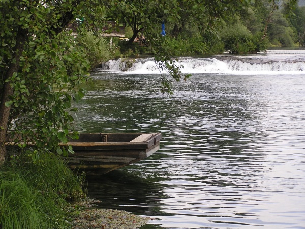 P1010083.jpg