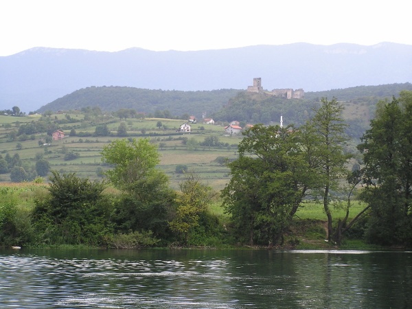 P1010084.jpg