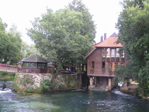 P1010089.jpg