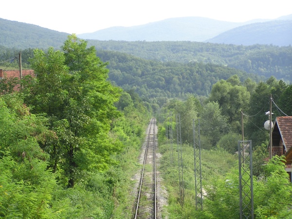 P1010105.jpg