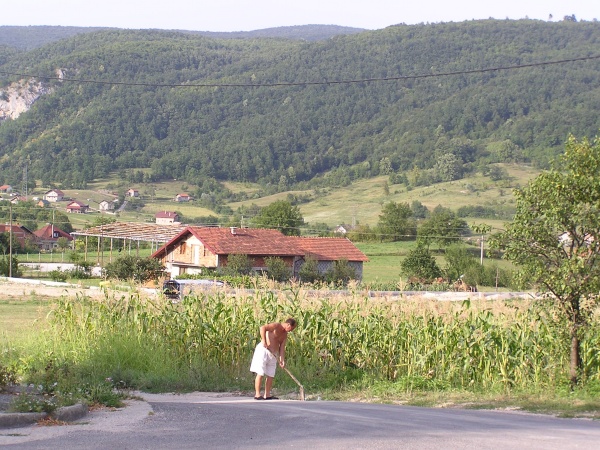 P1010122.jpg