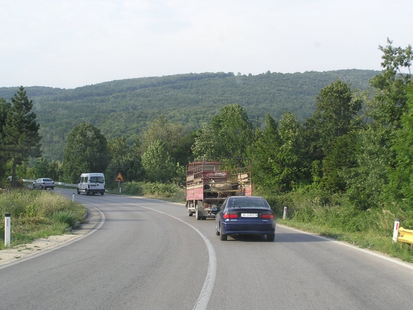 P1010123.jpg