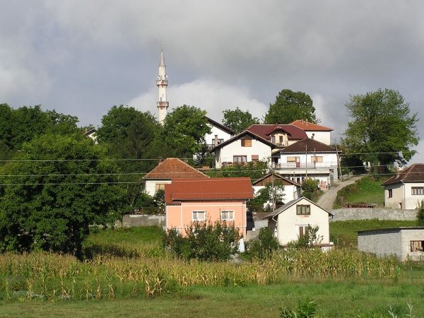 P1010137.jpg