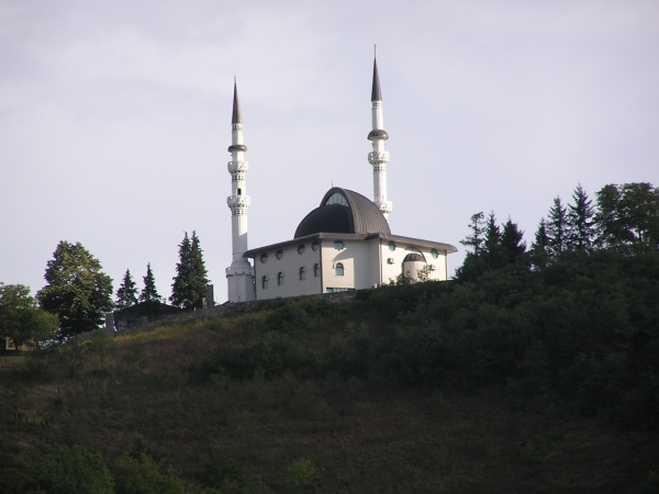 P1010139.jpg