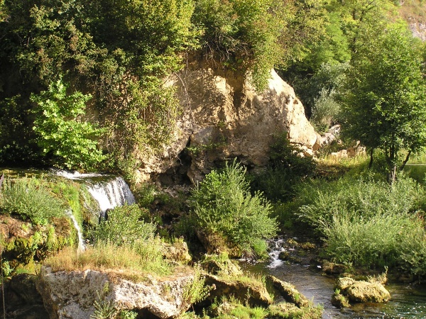 P1010143.jpg