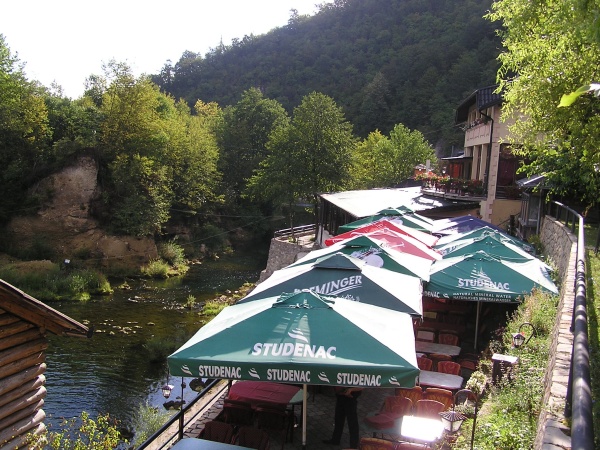 P1010145.jpg