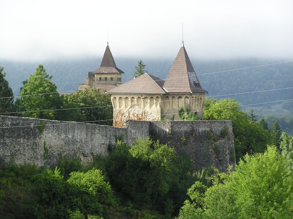 P1010147.jpg