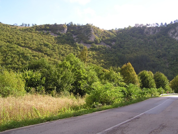 P1010151.jpg