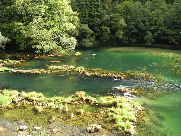 P1010153.jpg