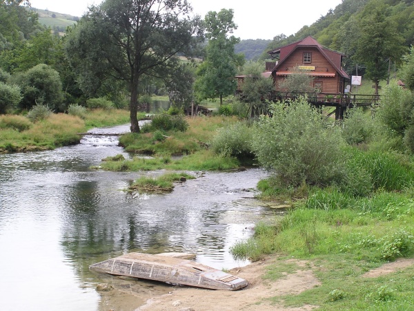 P1010170.jpg