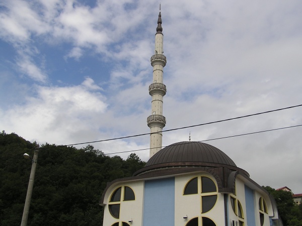 P1010172.jpg