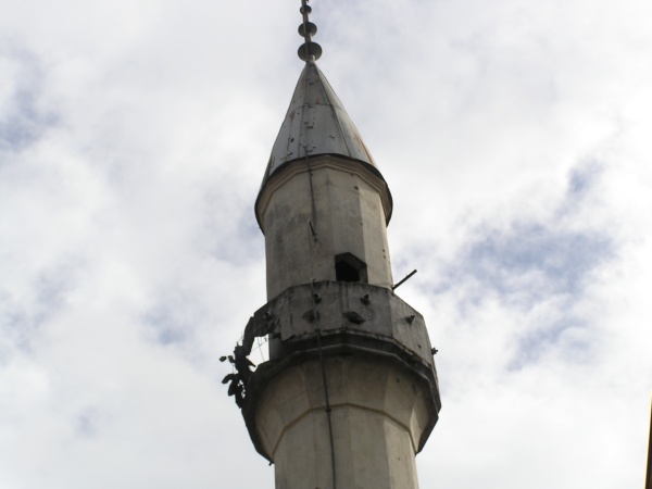 P1010174.jpg