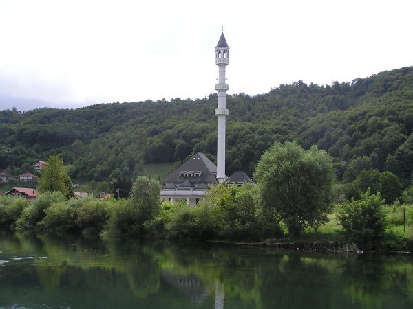 P1010175.jpg
