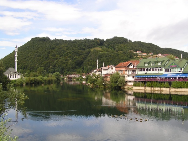 P1010178.jpg