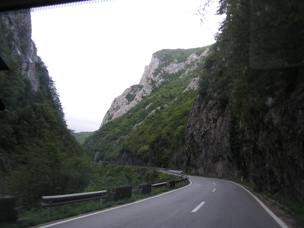 z42.jpg