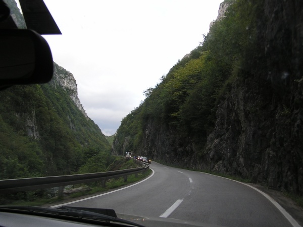 z43.jpg