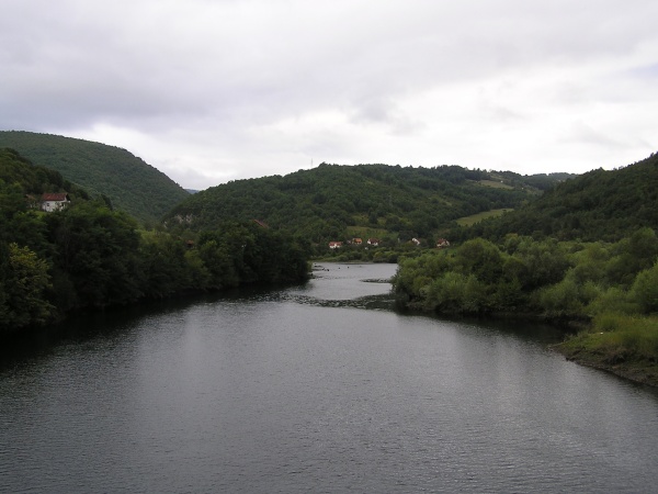 z54.jpg
