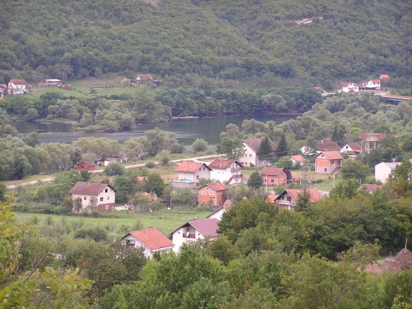 z57.jpg