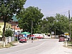 P1010029.jpg