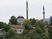 P1010036.jpg