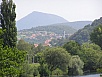 P1010064.jpg