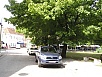 P1010069.jpg