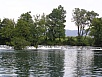 P1010082.jpg