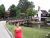 P1010088.jpg