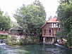 P1010089.jpg